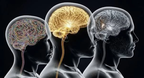 🤯Подростковый период длится до 32 лет, — учёные.
