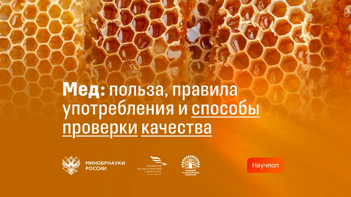🍯 Мед: польза, правила употребления и способы проверки качества