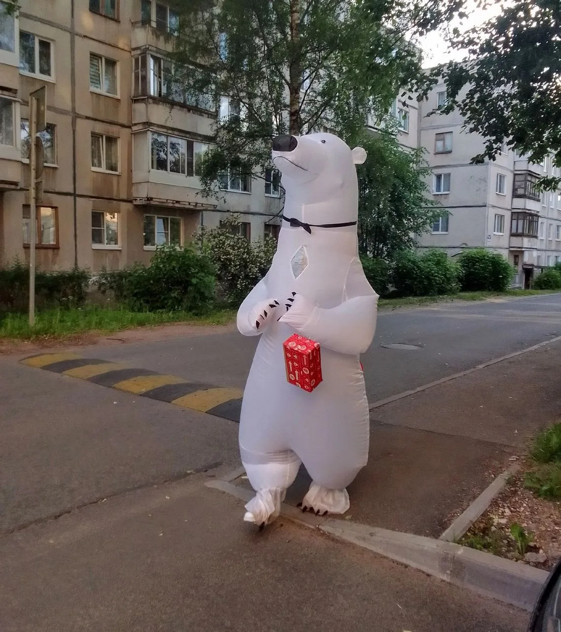 Куда спешит белый мишка?