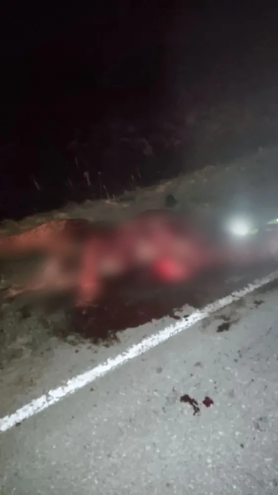 🔞 Прокуратура организовала проверку в связи с гибелью трёх молодых людей в ДТП на трассе Ужур – Бала