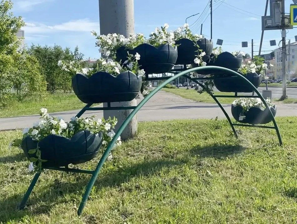 🌸  Лето - это яркие краски! Здорово, что в нашем регионе живут и работают люди, которы...