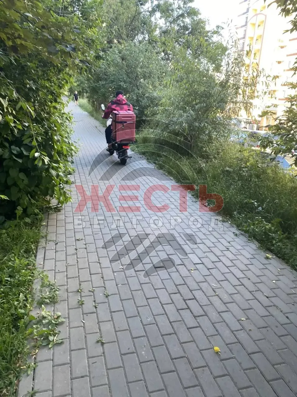 Раньше за домом на Королёва, 10 была спокойная пешеходная зона, а теперь это настоящая трасса для са