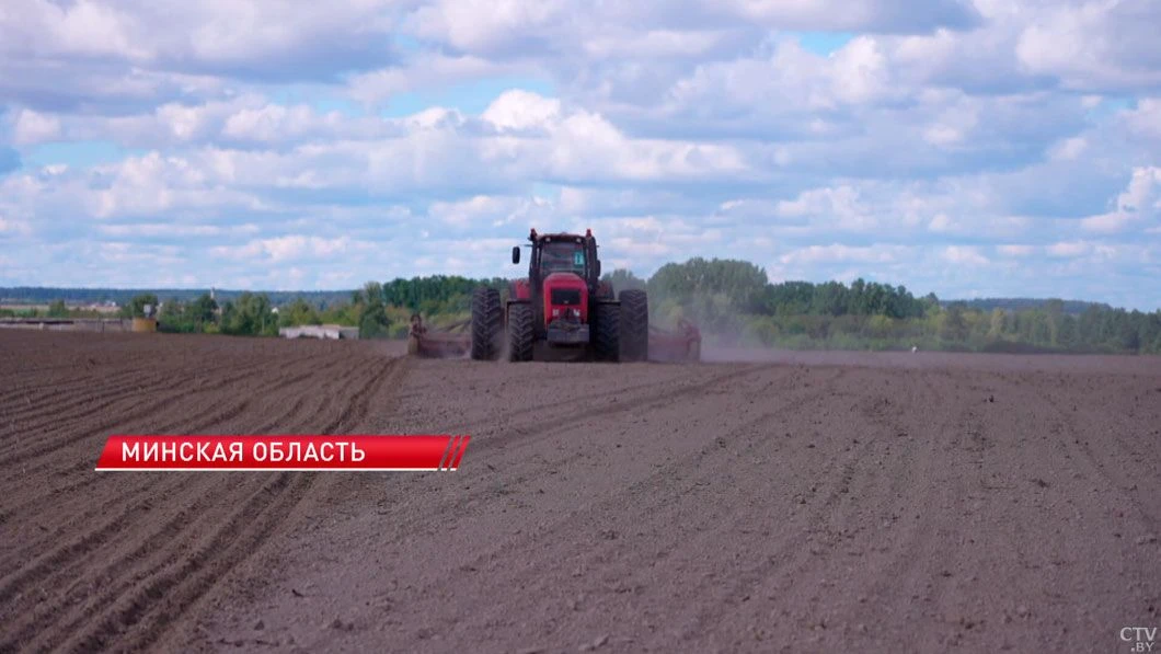 🌾 Озимыми зерновыми в Беларуси засеяно более 1 млн 330 тыс. гектаров
