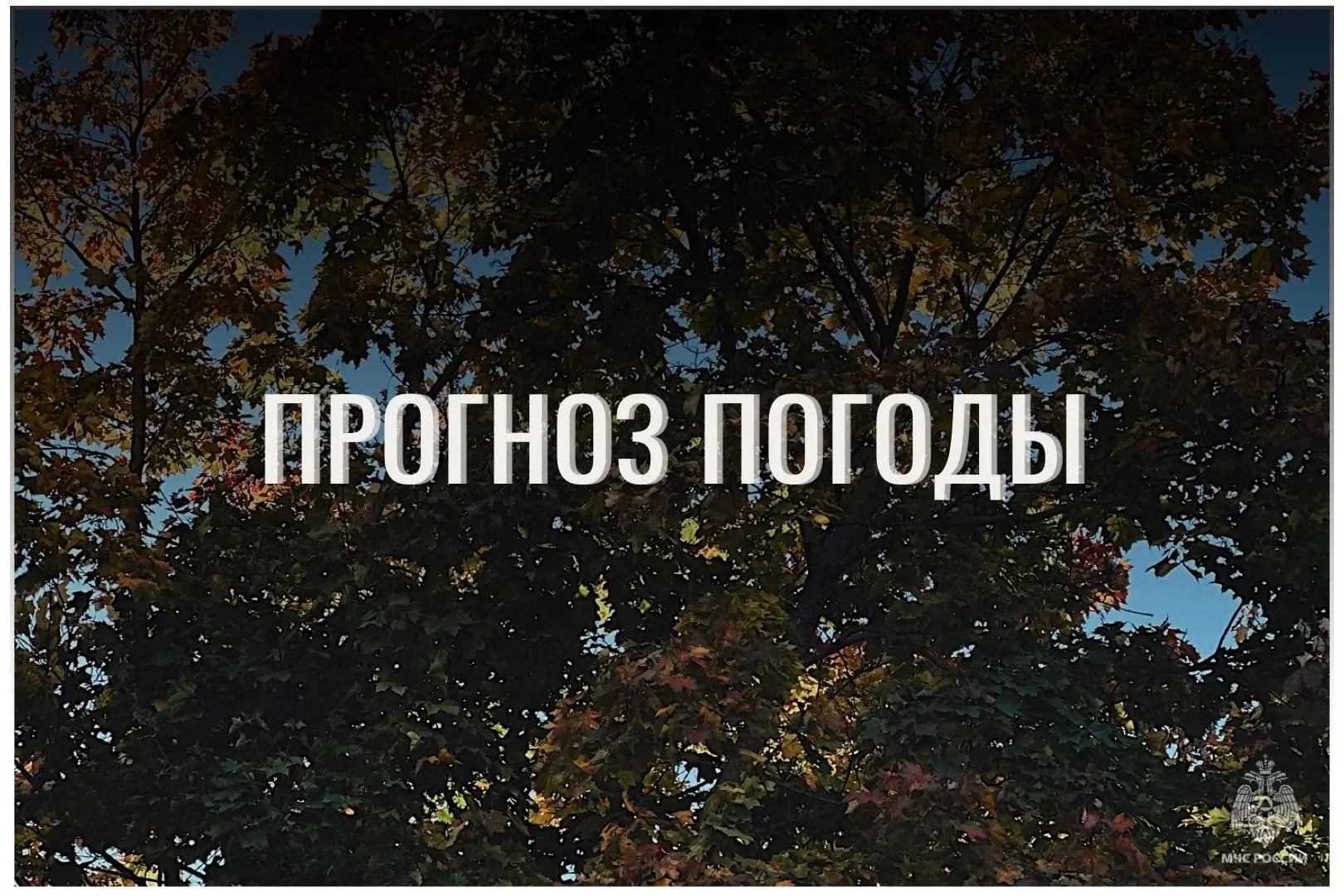 ⛅По данным ЦГМС, 5 октября в регионе прогнозируется облачно с прояснениями.