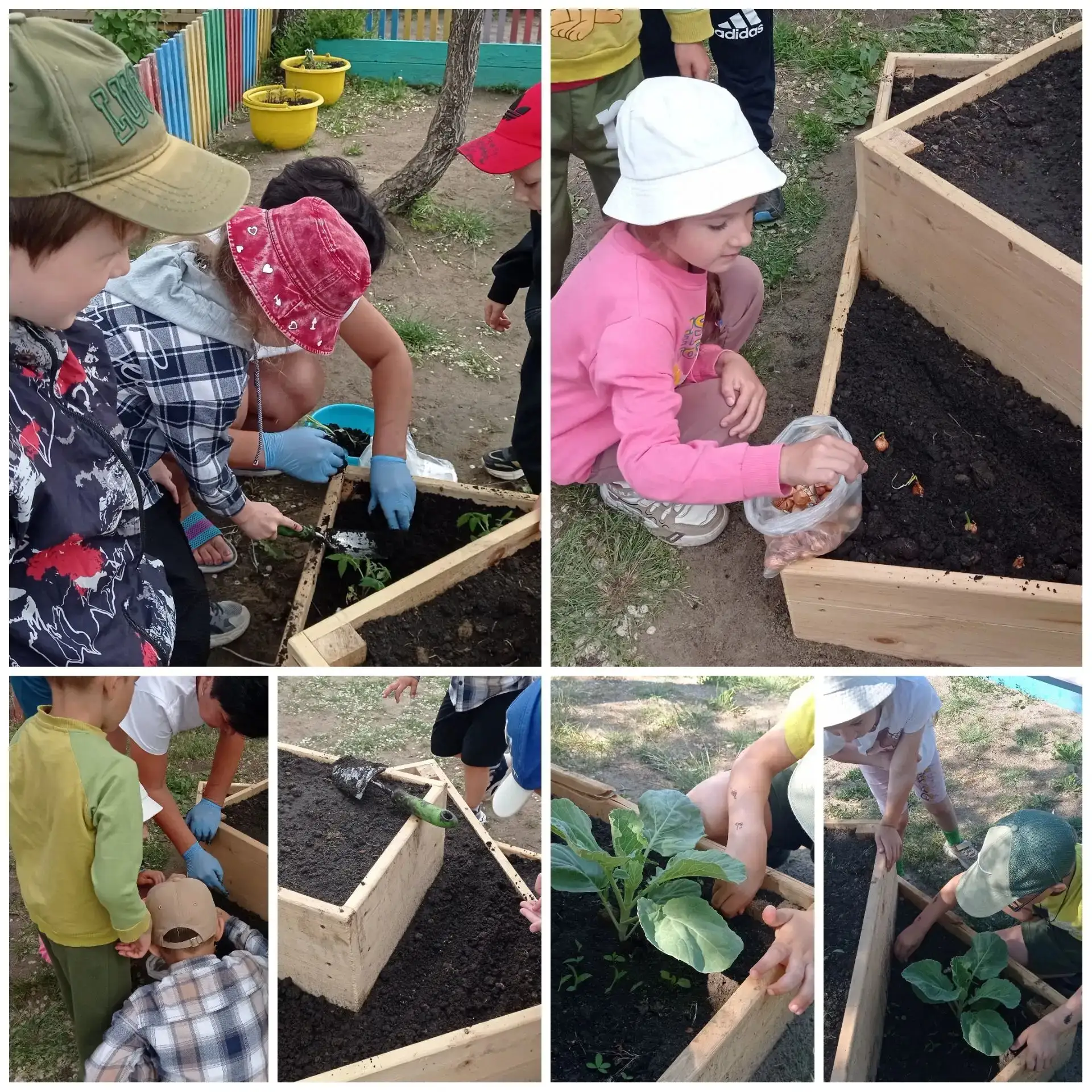 ☀🌱Наше лето в огороде: от семечка до ростка! ☀️🌱
Всем привет! Хочу поделиться с вами нашей главной