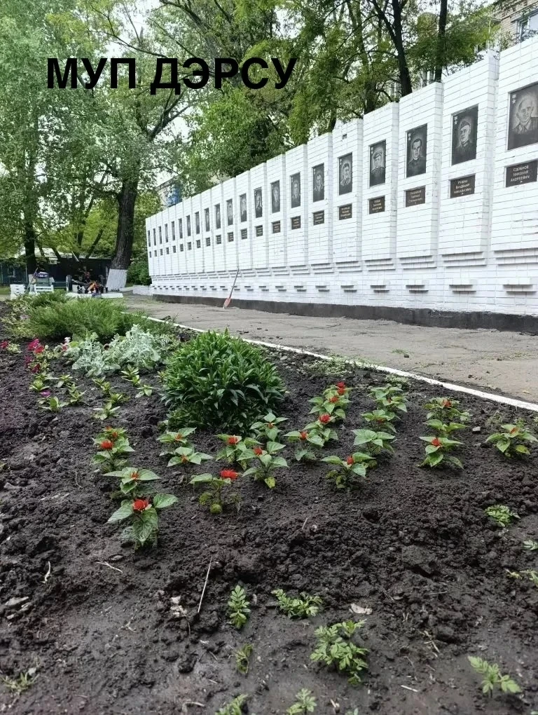 🌷 Красота начинается с нас!  С большой радостью сообщаем: на улицах Красного Луча появляются первые 
