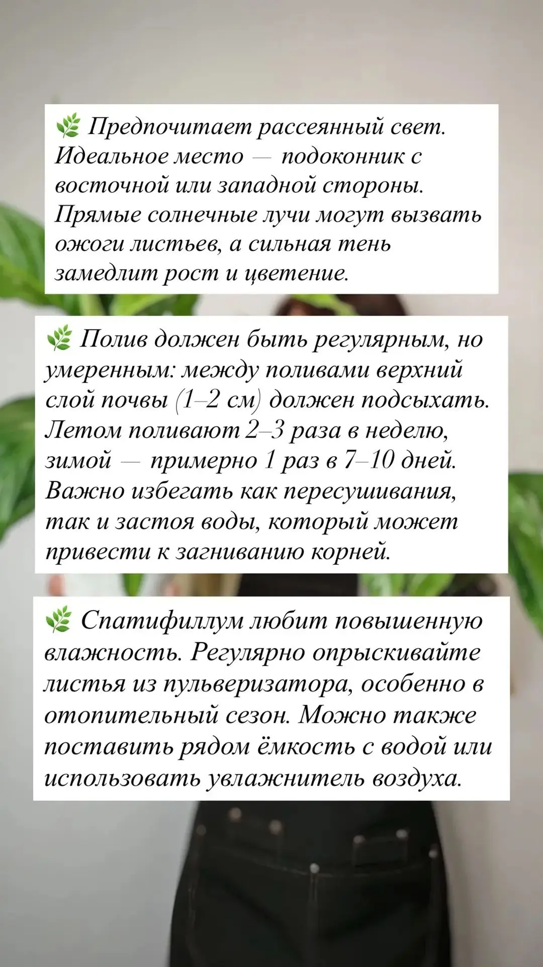 Мы с отличной новостью! Скидка 15% на горшечные растения и кокедамы!🥰