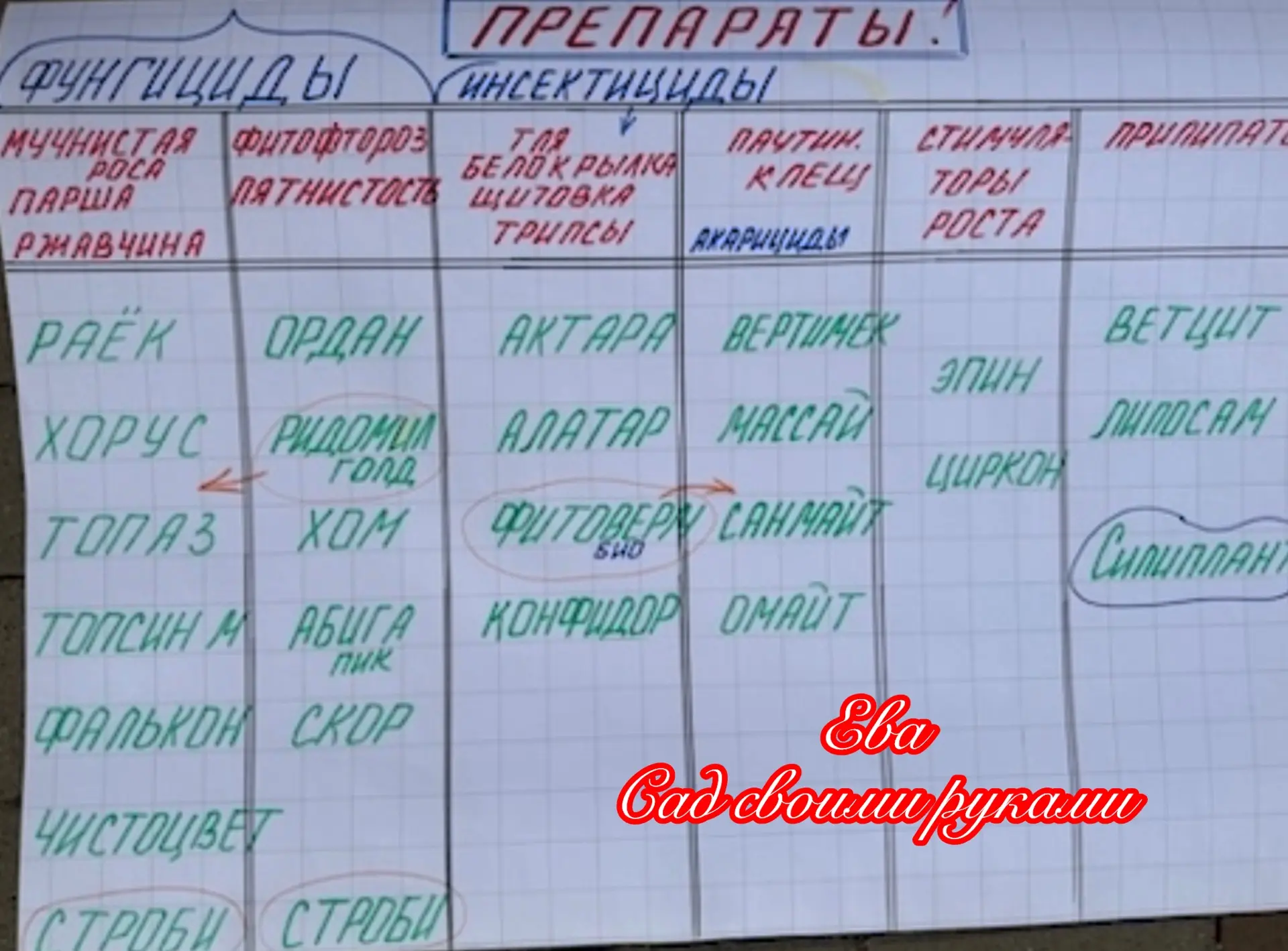 ✅ ПОМОЩЬ НОВИЧКАМ В РАБОТЕ ПРЕПАРАТОВ ❤️ по розам, барбарисам, кленам … лиственным, раб...