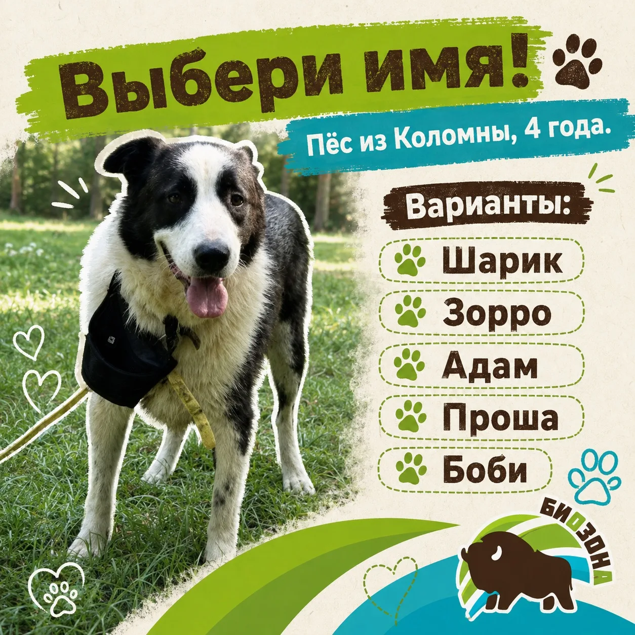 ВЫБИРАЕМ ИМЯ НОВОМУ ПСУ! 🐾