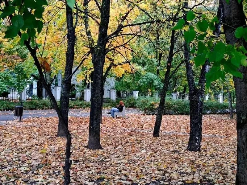 🍂 Осенние виды в парке Яуза