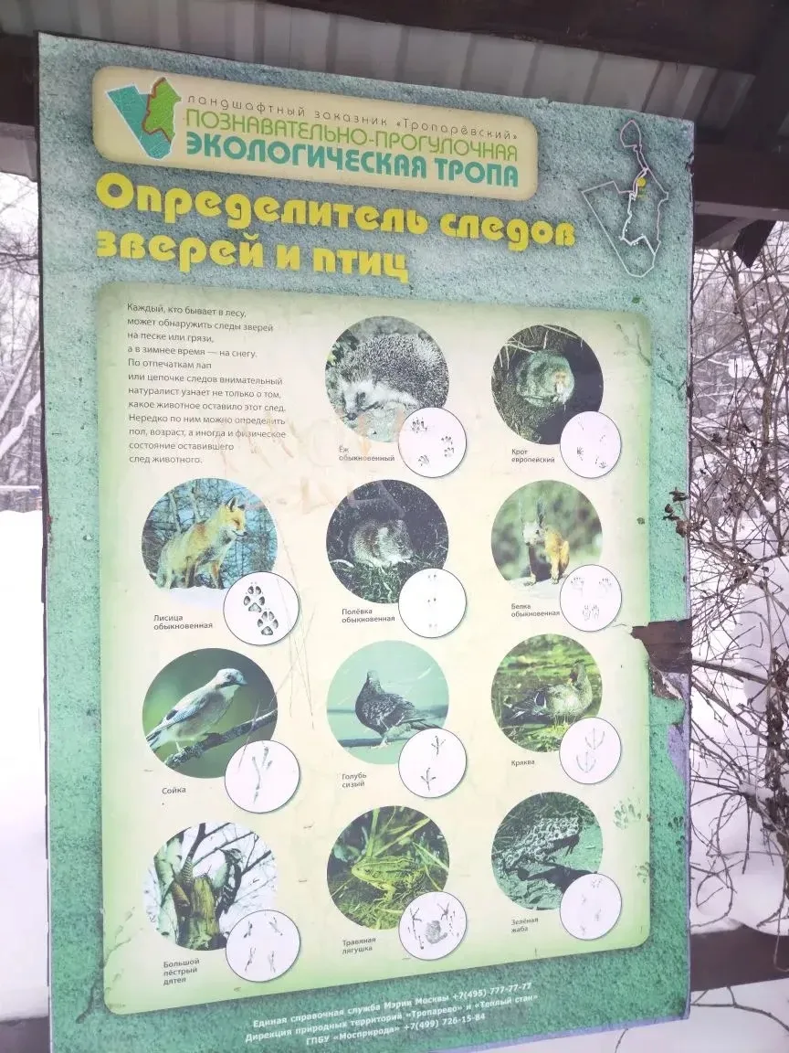 Выходные с пользой 🌲🛣️  В воскресенье, 22 марта, пятиклассники и учителя из школьного отделения №2 с