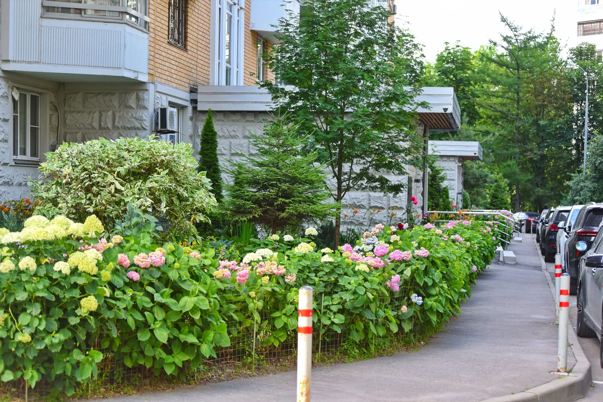 🌷Во дворе дома по адресу ул. Матвеевская, 36.