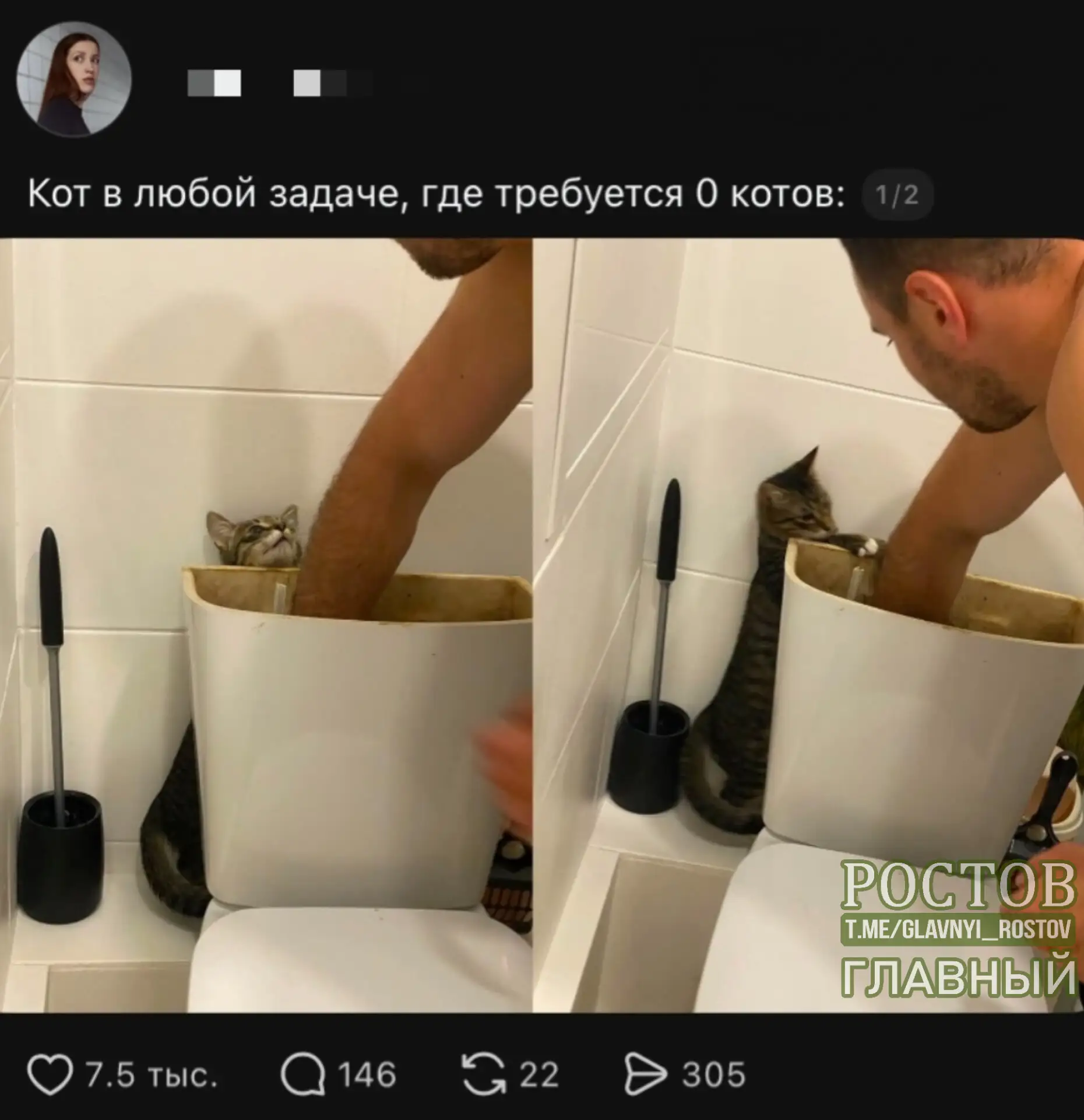 🐈‍⬛ Нет такой задачи, где требуется ноль котов

@glavnyi_rostov — Ростов Главный в Мах
🗨Комментари