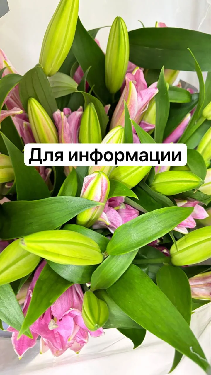 ‼️Безопастность