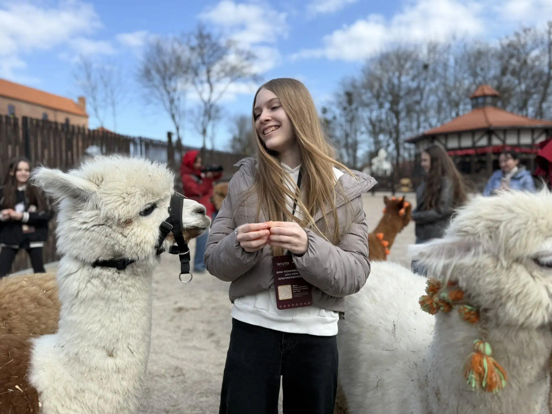 В гости к альпакам 🦙   Учащиеся 6В класса посетили парк альпак «Тиргартен», расположенный у стен зам