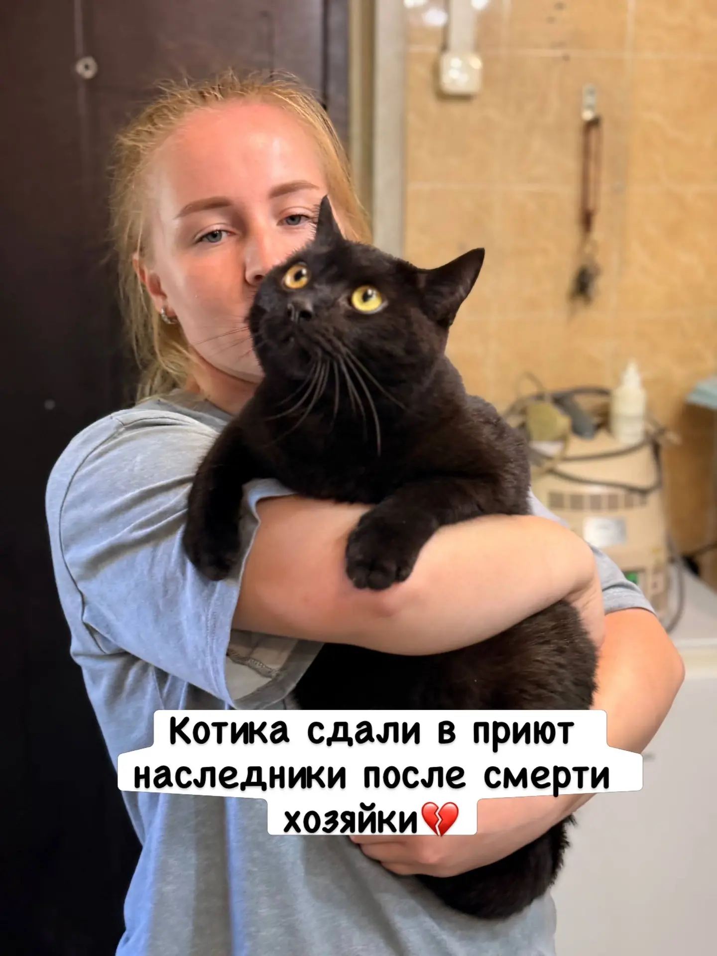 Котик, которого сдали в приют после смерти хозяйки, начинает искать семью. Анализы на и...