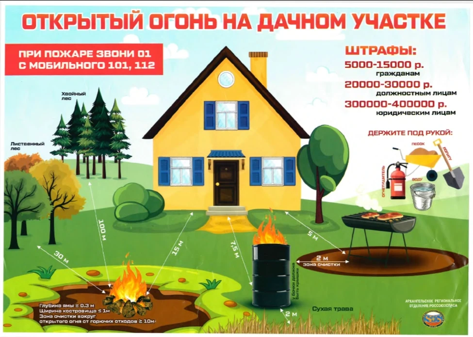 Весна и лето — время работы на участке и отдыха у костра. Но важно помнить: неправильно...
