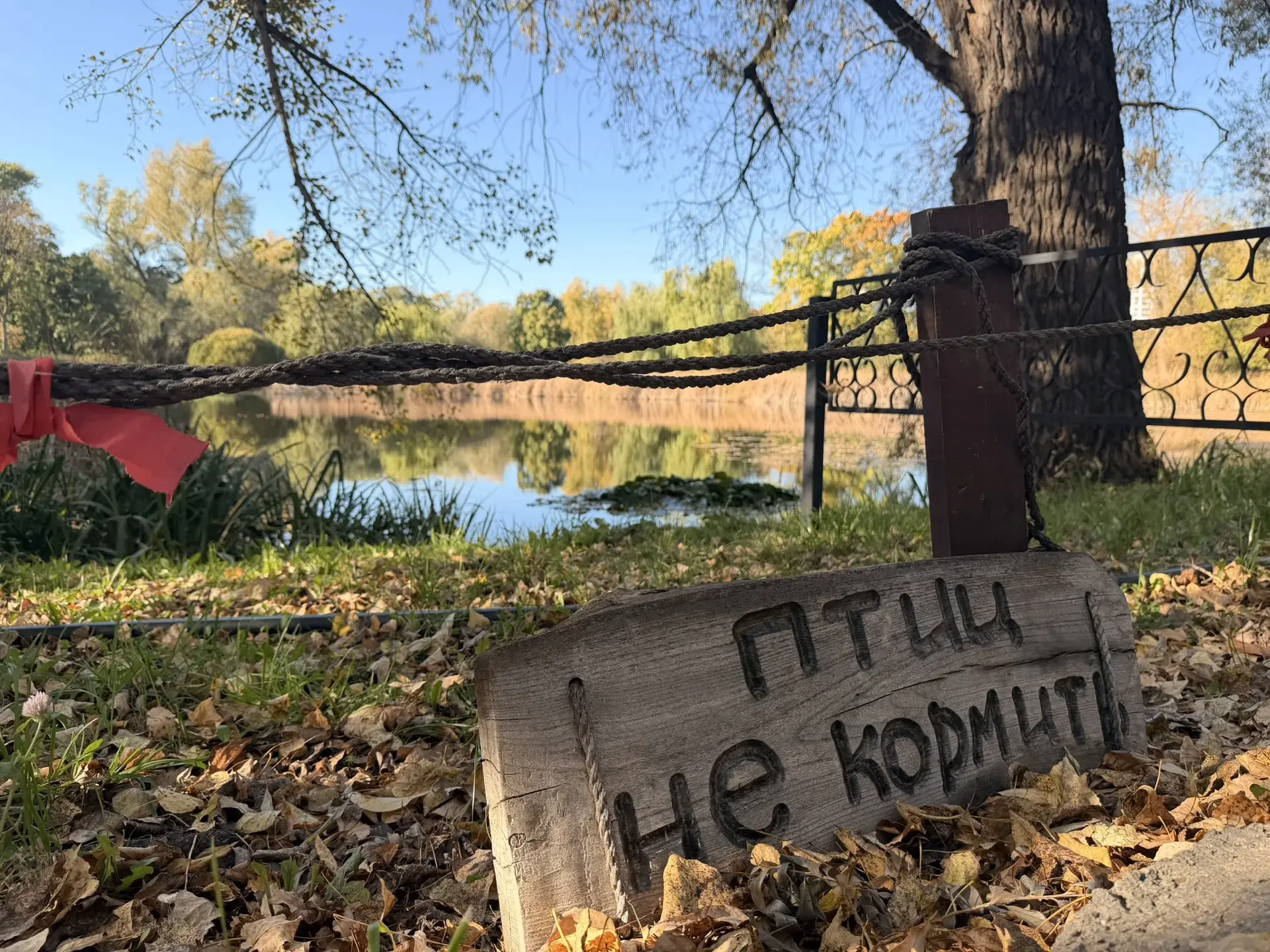 🍂 Ботанический сад переходит на осенний режим