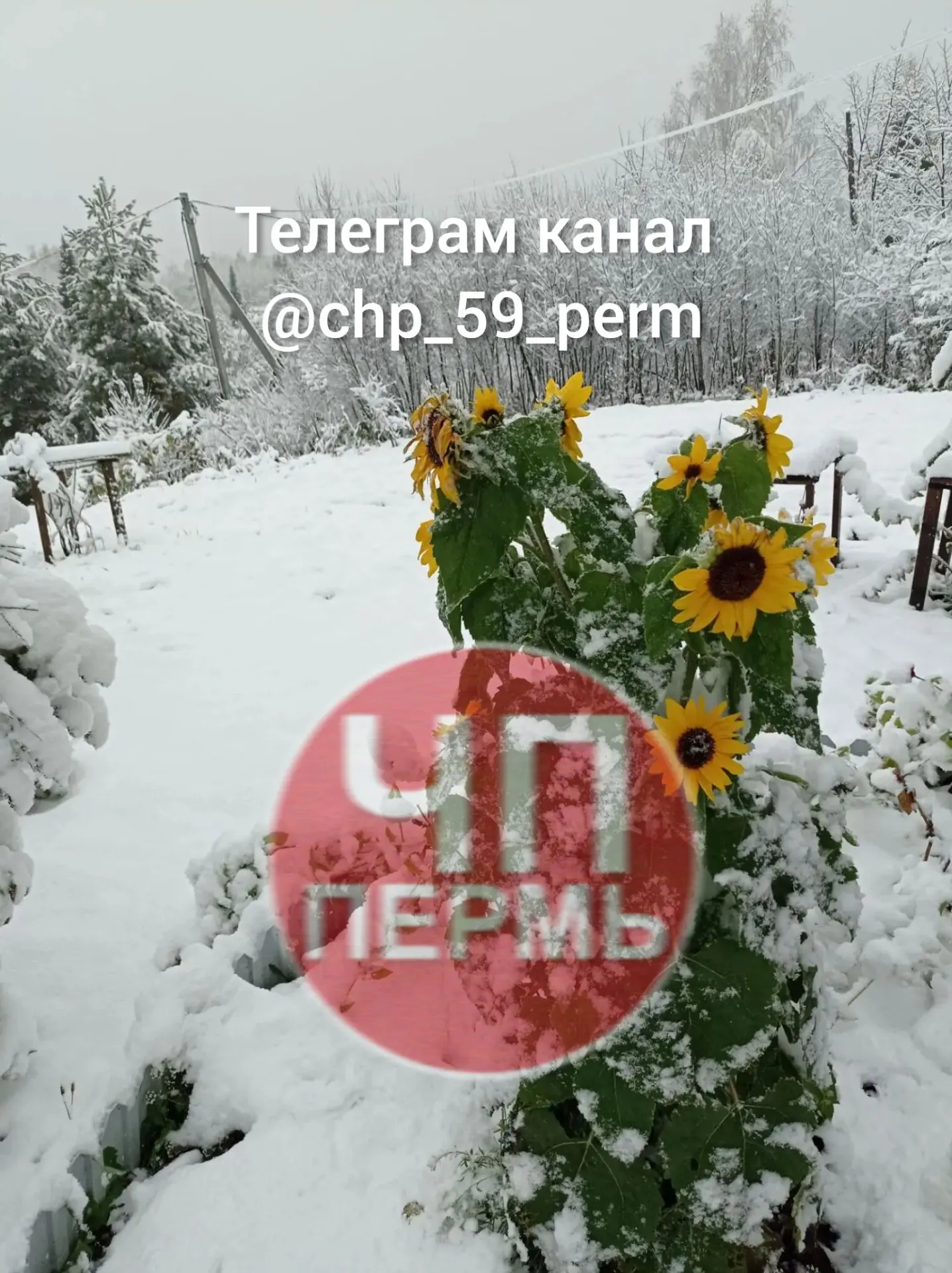 Утро 4 октября в Бершети.