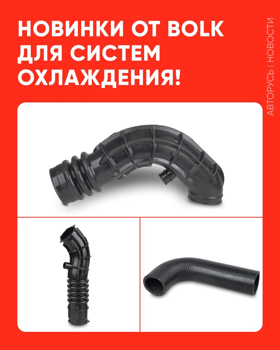 Изображение 1 к публикации «B2B AUTORUS»