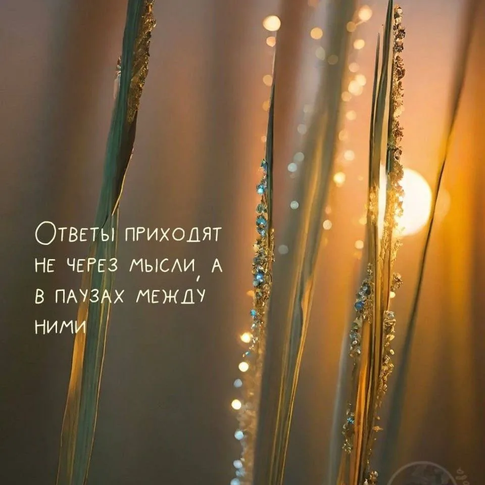 ☕️ Настройка дня 

Ответы приходят не через мысли, а в паузах между ними

🔥- ставьте, если забирает
