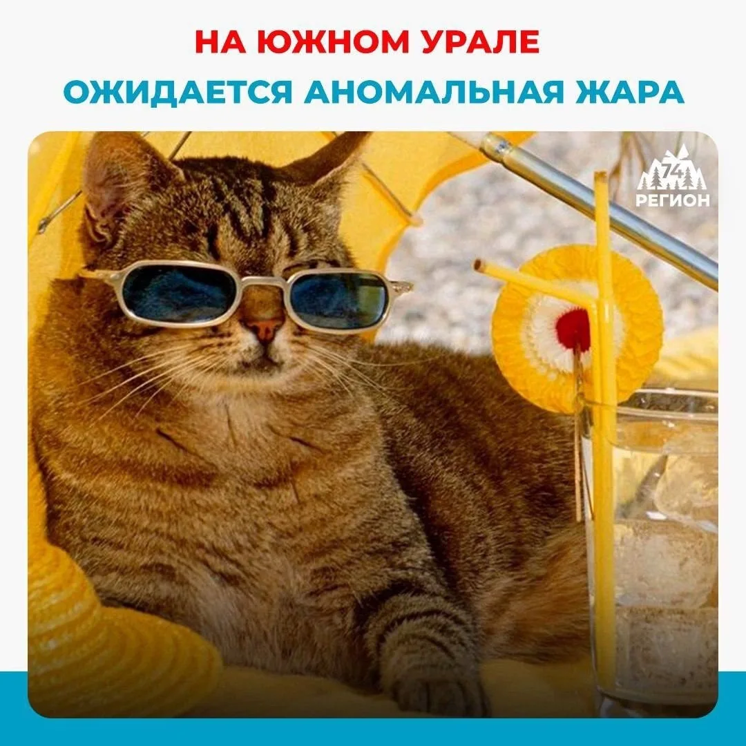 ☀️В Челябинской области объявили экстренное предупреждение из-за аномальной жары