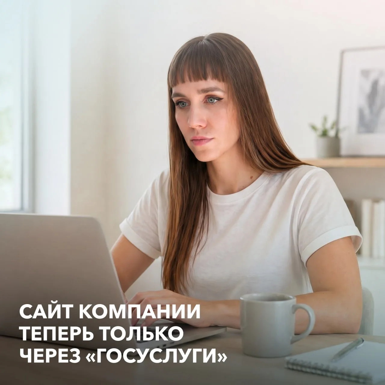 В России начали вводить идентификацию владельцев доменов через Госуслуги