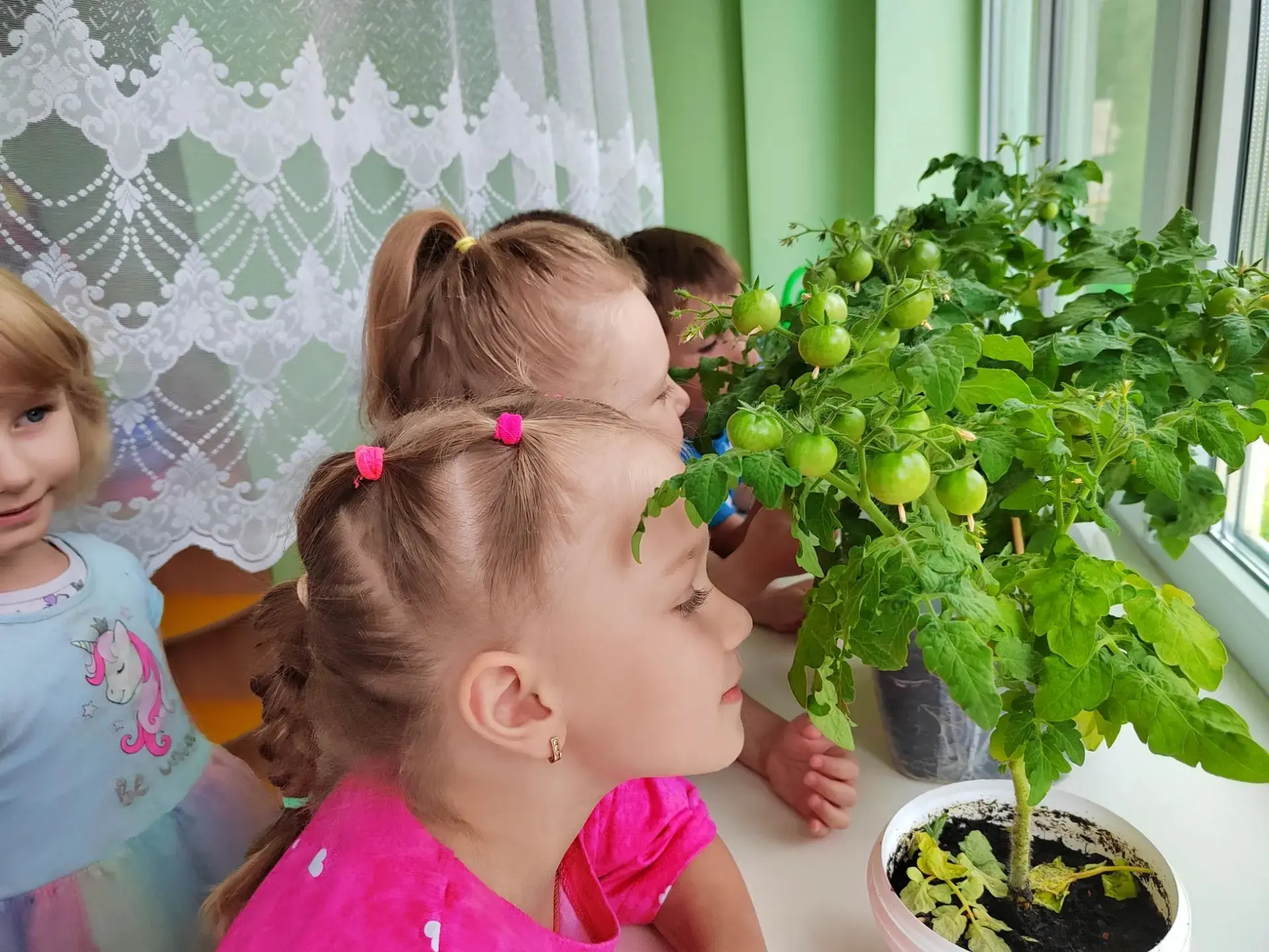 🍅 Вот это да, у нас отличные новости! Наш «Огород на подоконнике» выходит на финишную прямую — поми