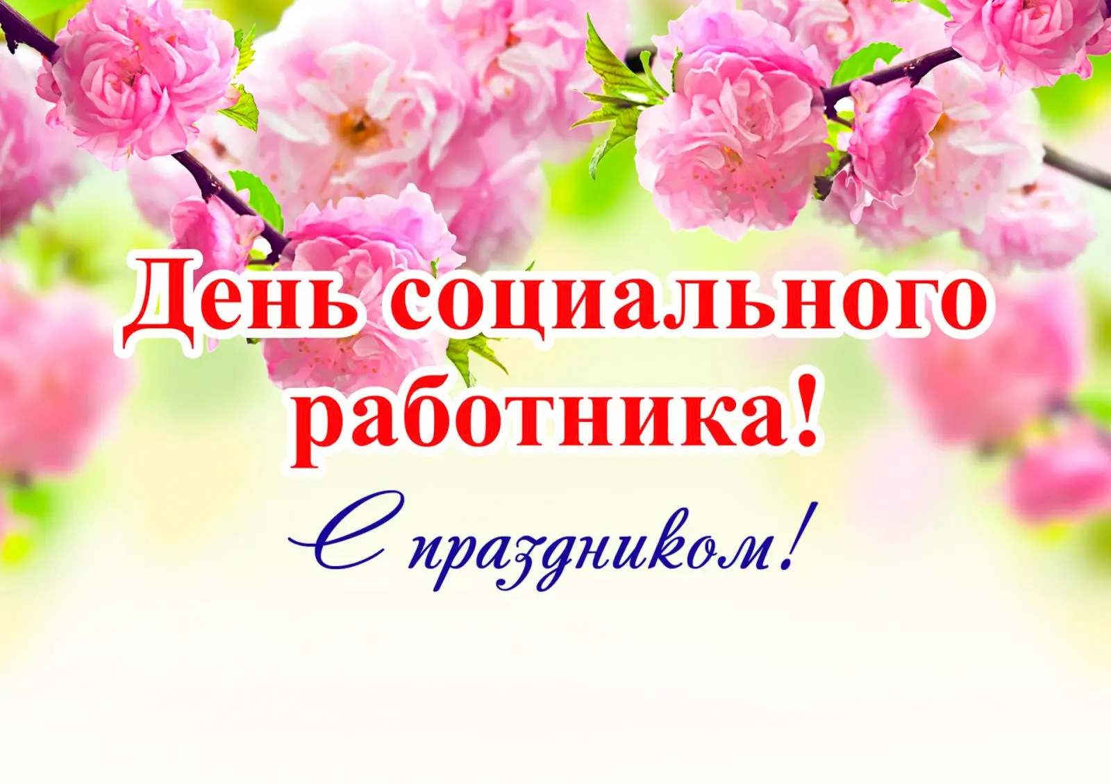 Дорогие коллеги!

От всей души поздравляю вас с Днём социального работника! 🎉

Работа в реабилитаци