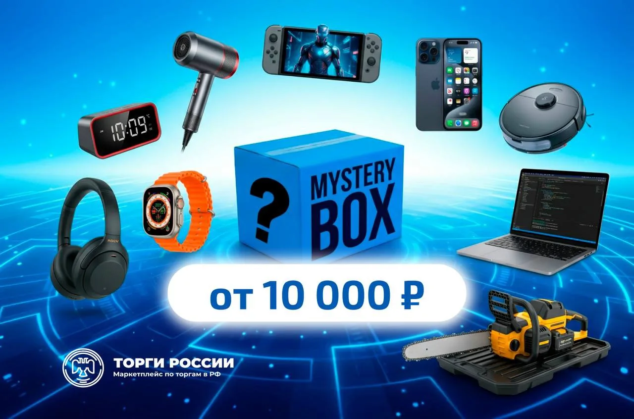 Mystery Box от портала «Торги России»