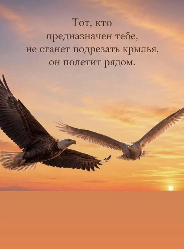🖤ЦИТАТЫ ДЛЯ ДУШИ