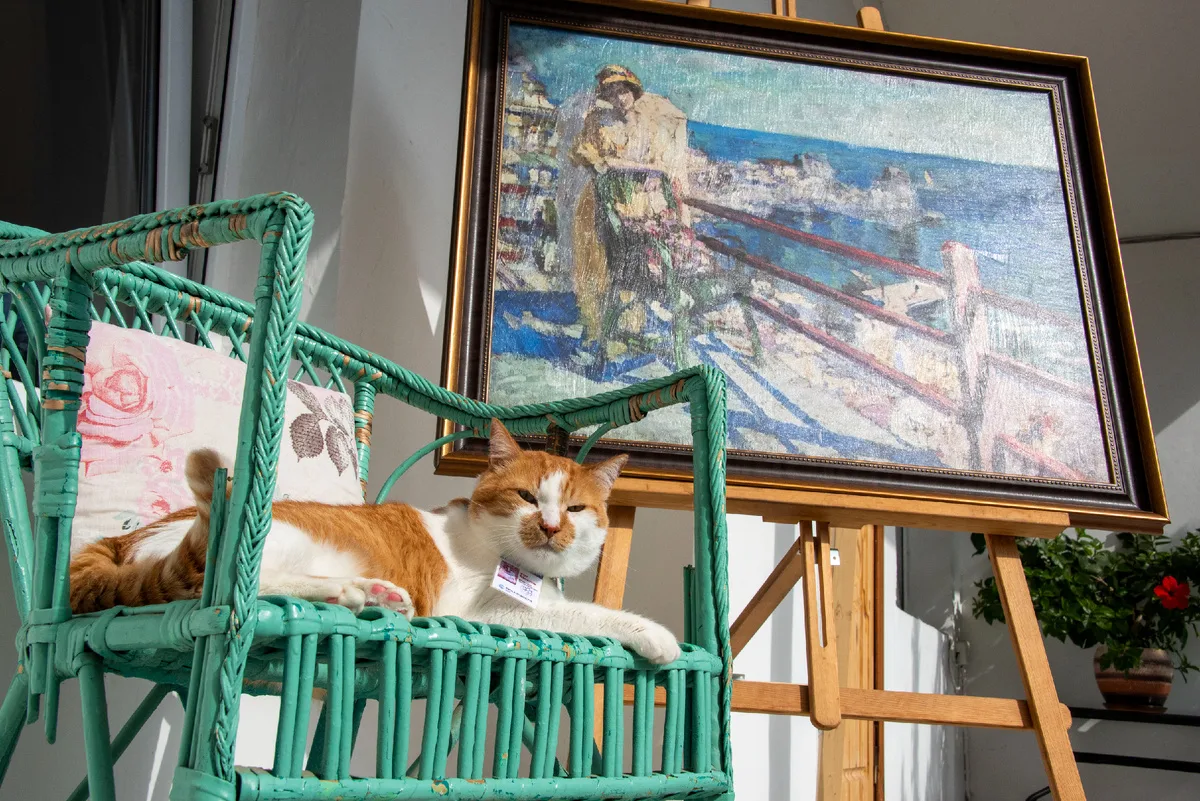 🐈🌴Город котиков и инжира. Место встречи моря и гор, пропитанное ароматом кипарисов и морепродуктов