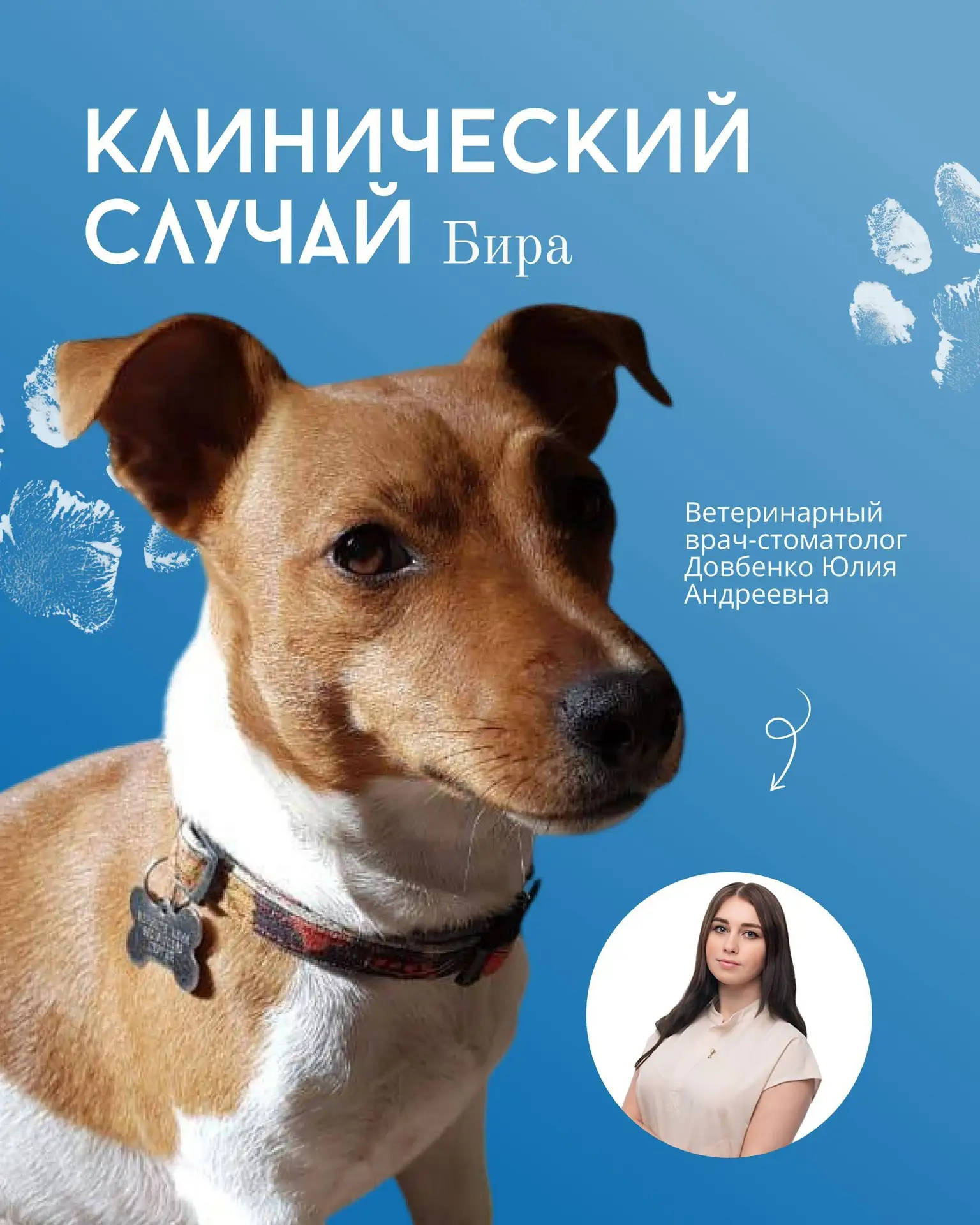 🦷 Бира и зубная боль: почему профилактический осмотр у стоматолога так важен?