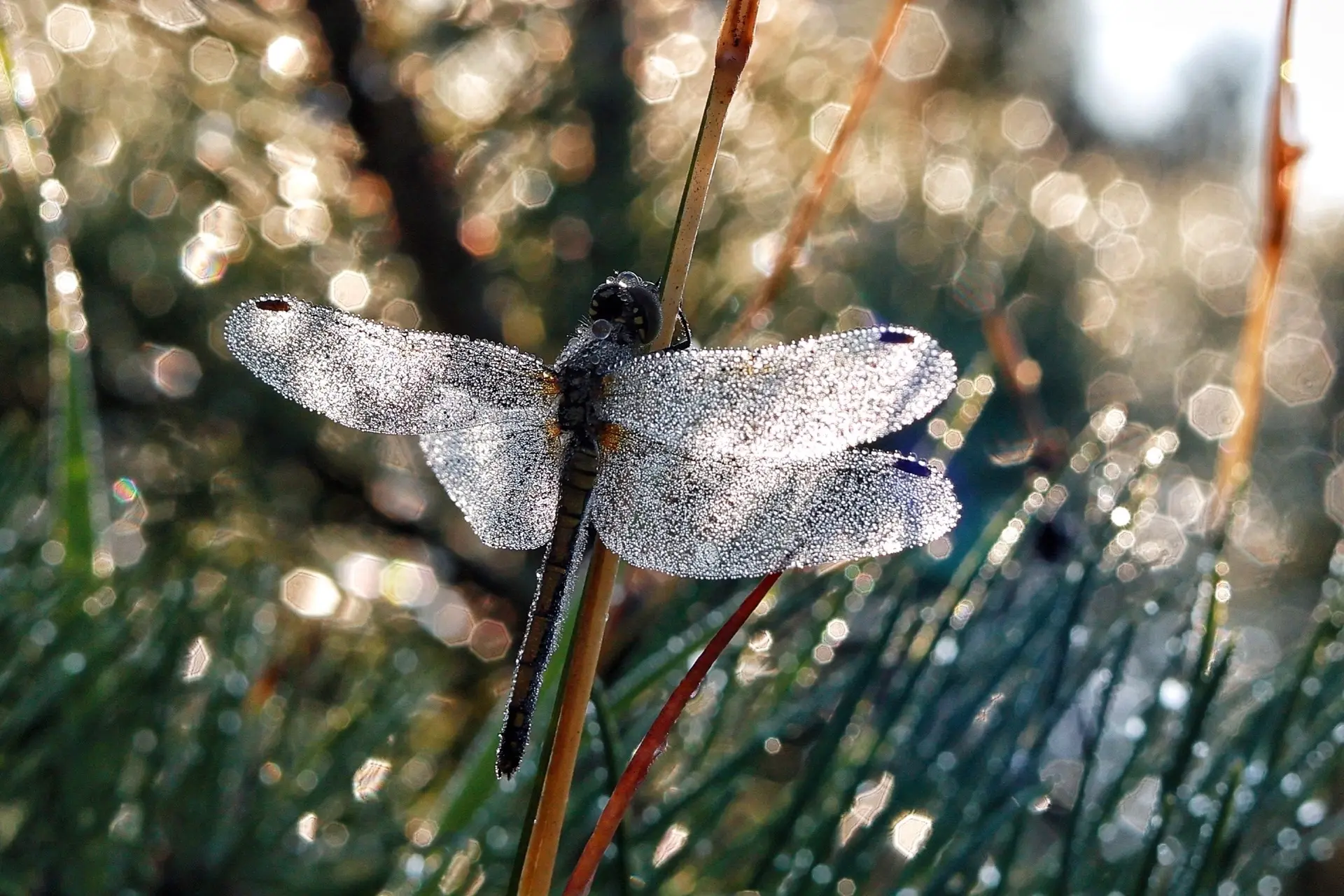 Сегодня последний день лета 🌿