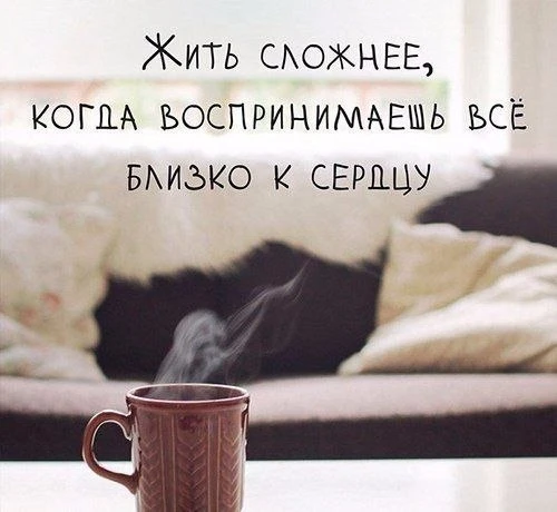 Поэтому, не принимайте все так близко ❗️

Канал «Чердак сознания»
Подпишись!