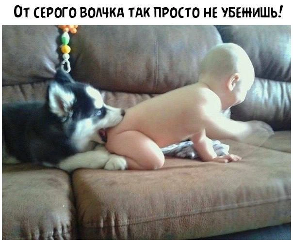 Ветер с Моря Дул