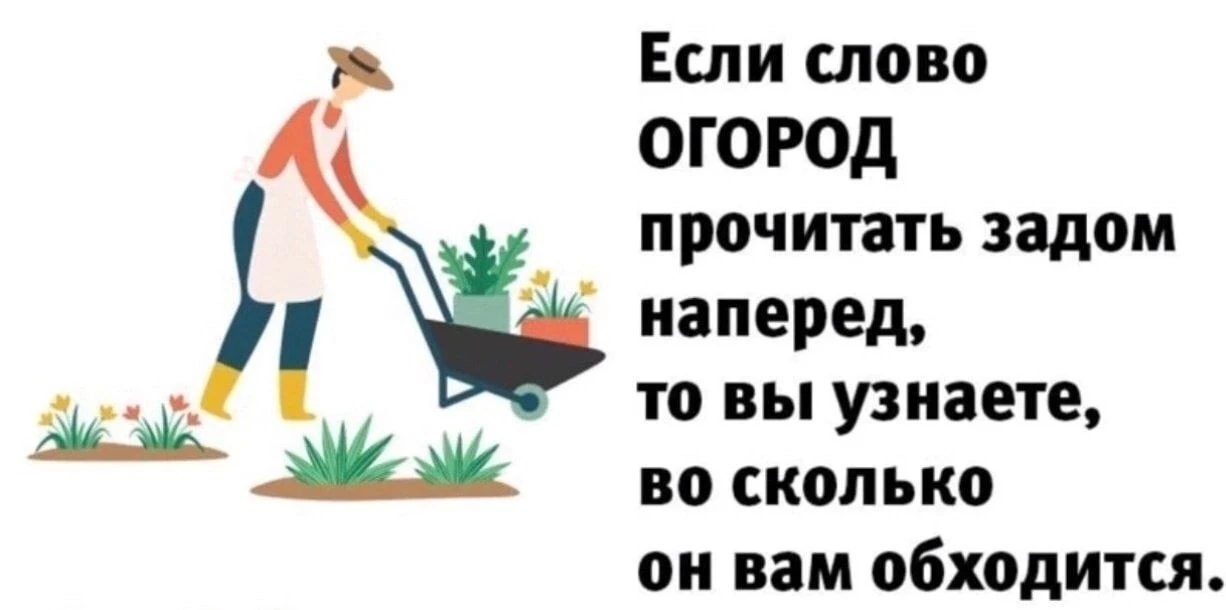 Лучше не считать 😂