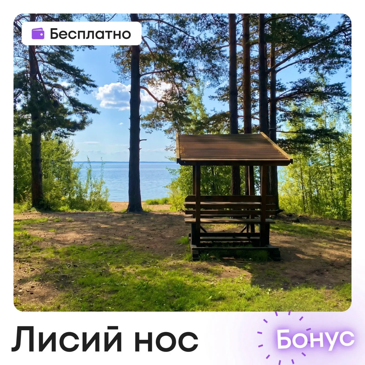 🍢 Майские без дачи: где бесплатно и законно жарить шашлыки в Петербурге   Какие майские без гриля и 