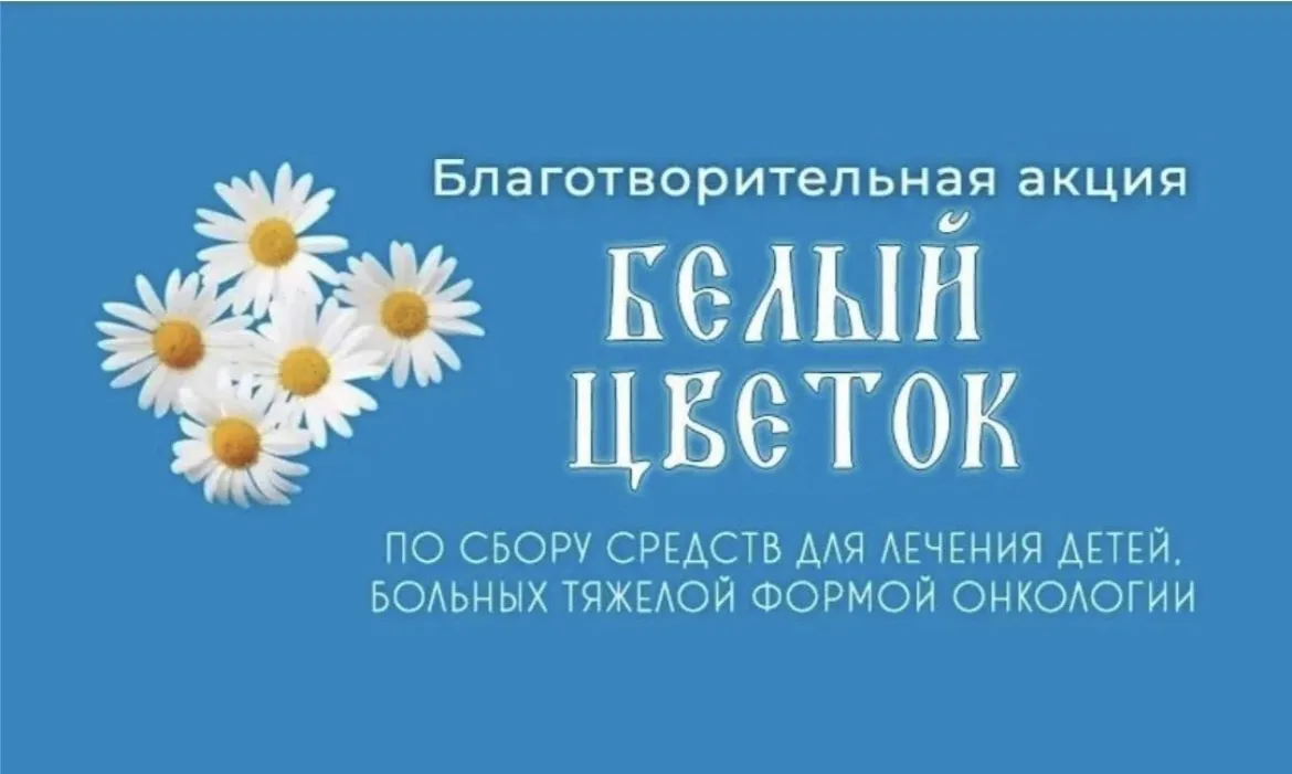 «Белый цветок»: в Панинском районе стартовала благотворительная акция в поддержку детей...