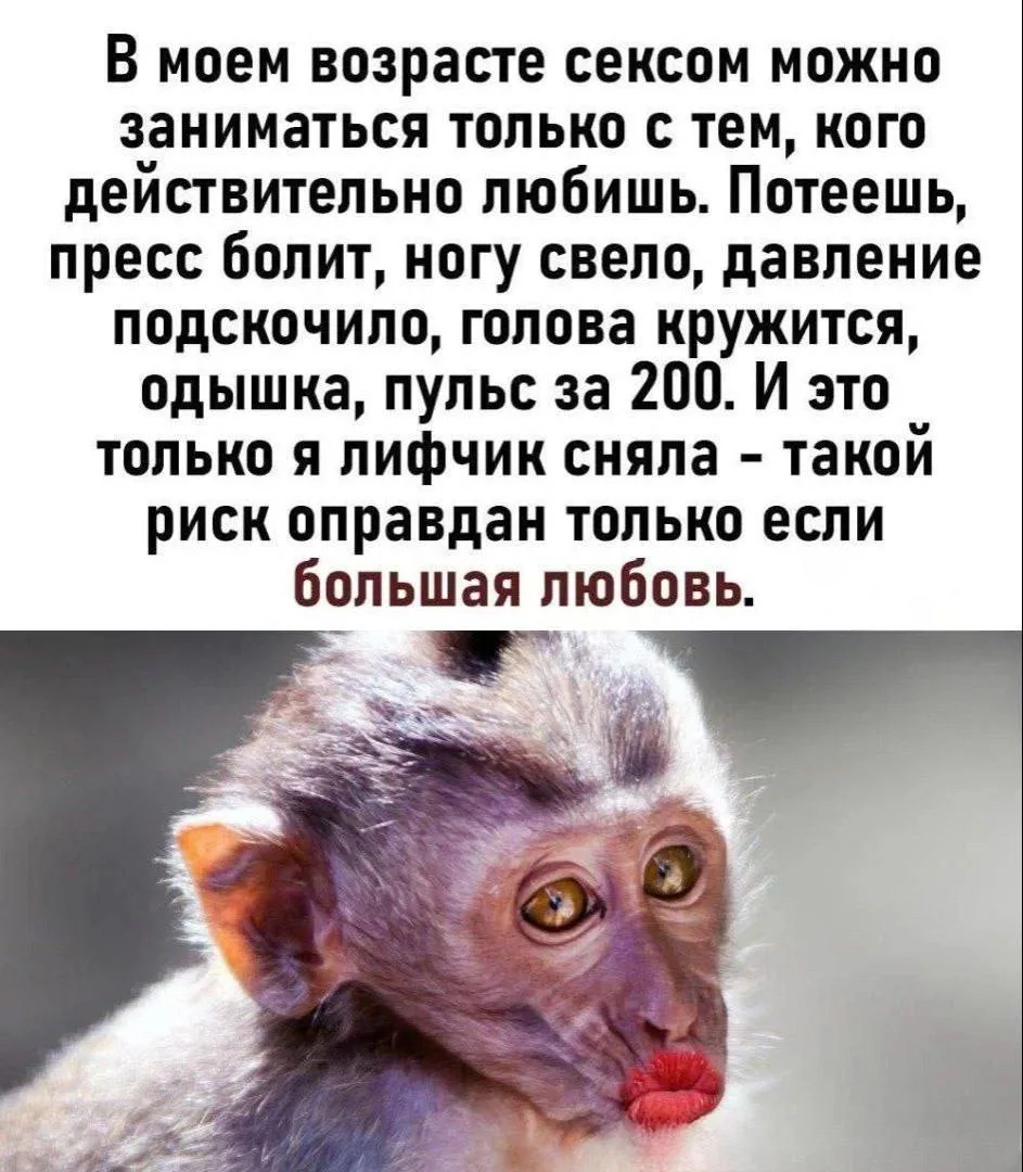 По Щучьему Велению