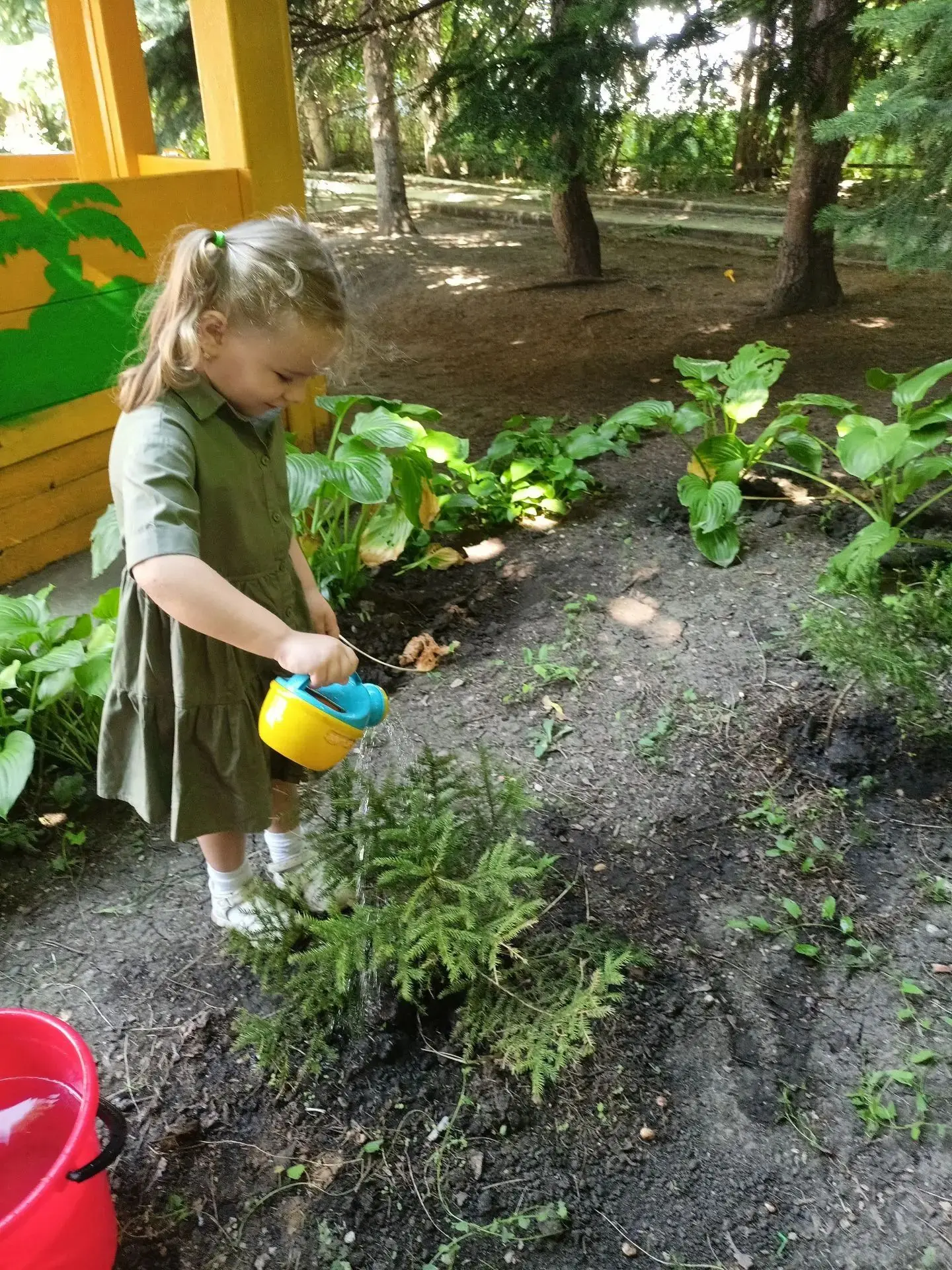 🌿 С чего начинается любовь к природе? С детства! 🌿