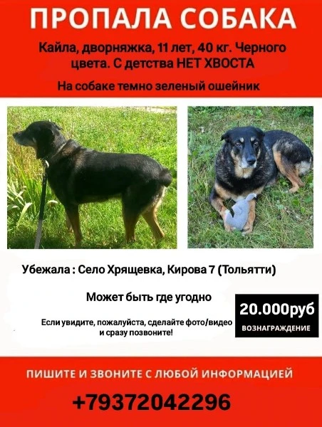 Помогите найти Кайлу!!