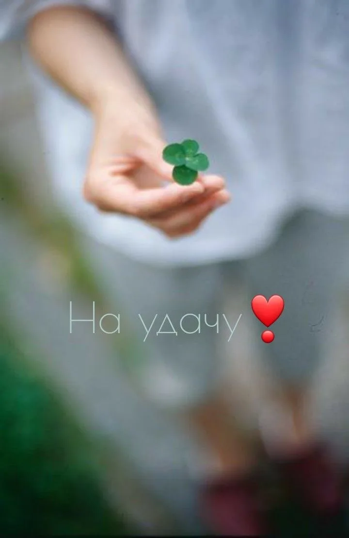 С ♥️, директор.