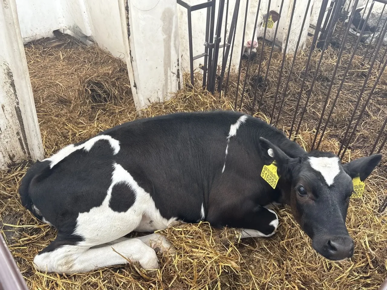 Люди, которые живут своим делом