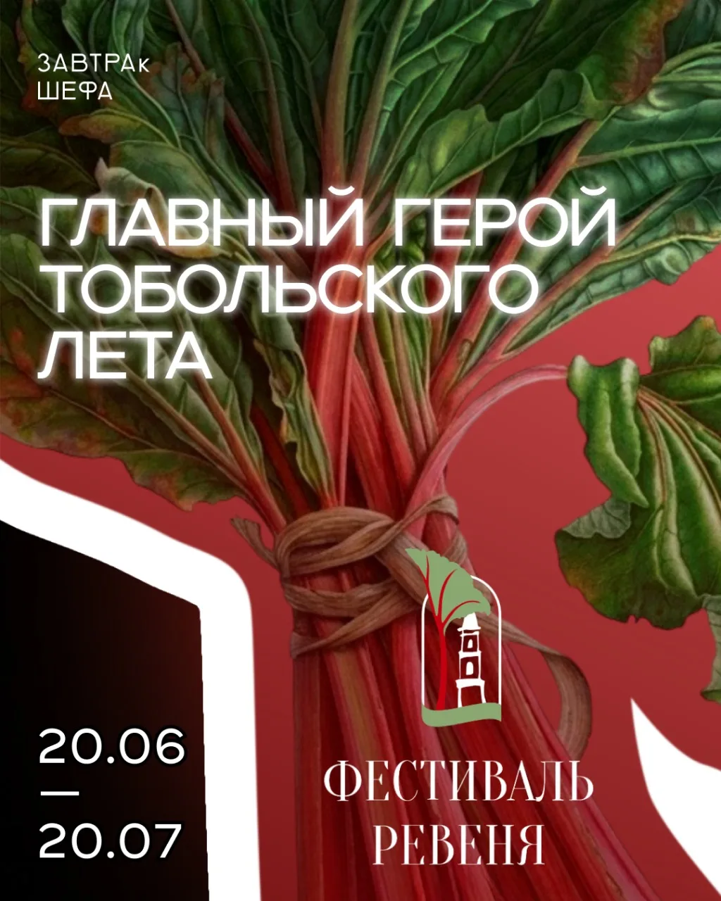 Ревень — главный герой тобольского лета.
