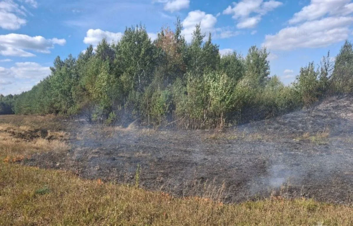 Загоревшийся лес потушили в Клетнянском районе