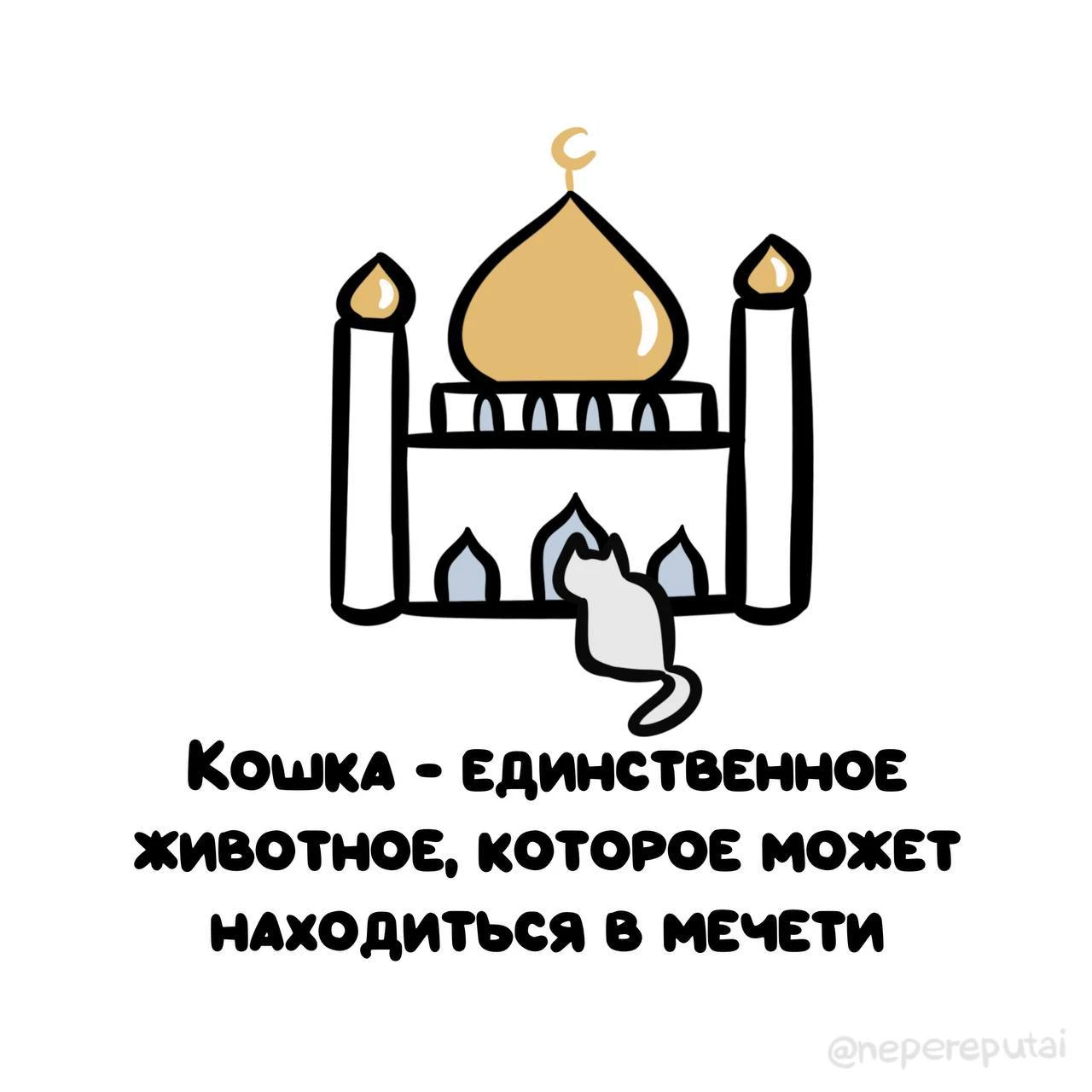Мяу 😸
