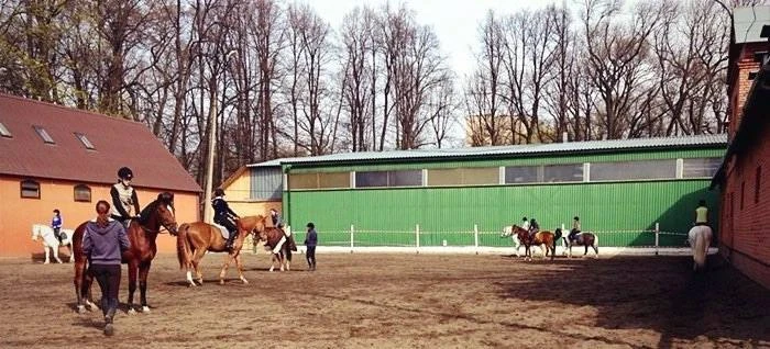 🐎 24 лошади могут остаться без дома на Крестовском