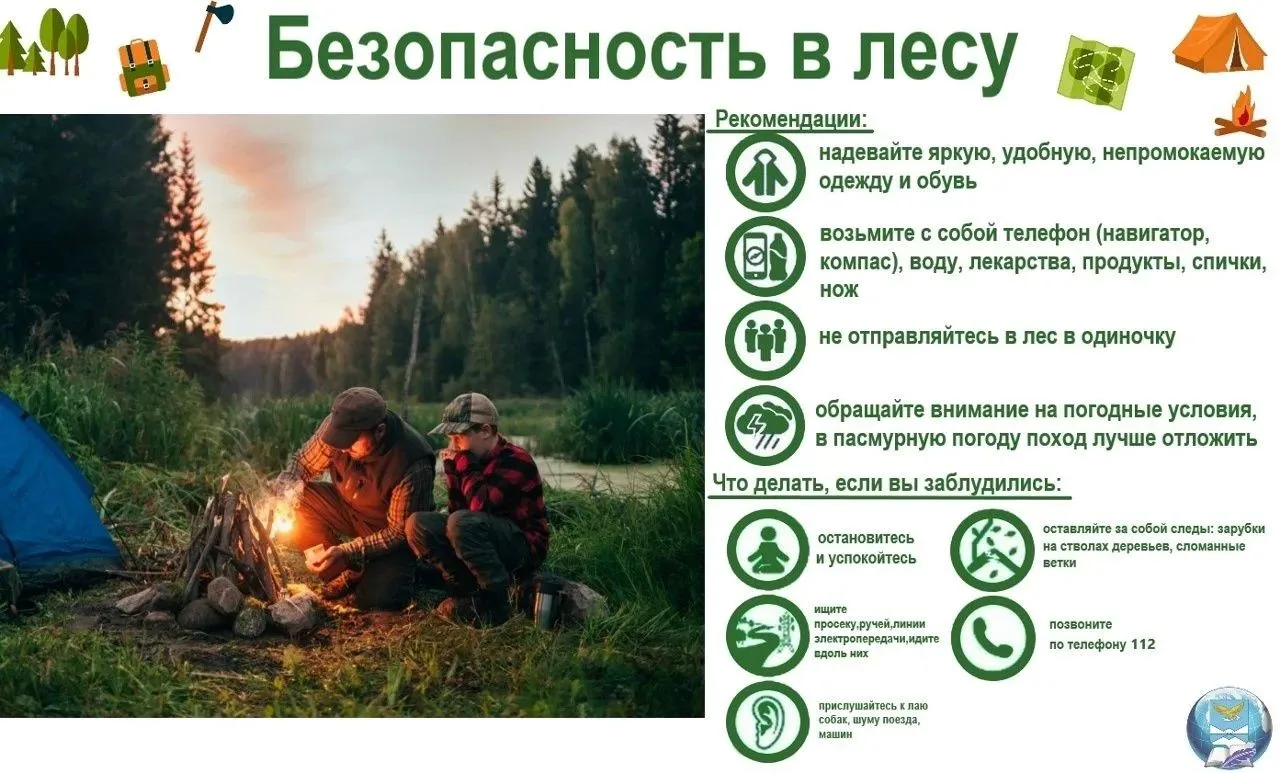 🌲 Памятка для родителей: «Правила поведения в лесу» 🌲Собираетесь в лес с ребёнком? Вот главные пра