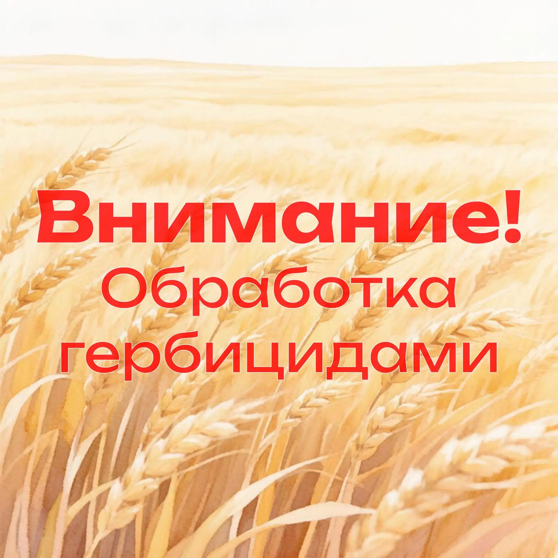 🐝 ООО «Битимский» информирует жителей с. Битимки, п. Билимбай владельцев пасек и пчело...